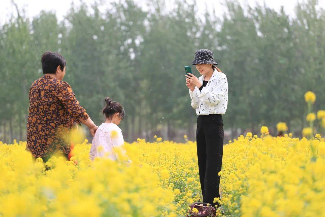 游客在固安县林城千亩油菜花田赏花游玩