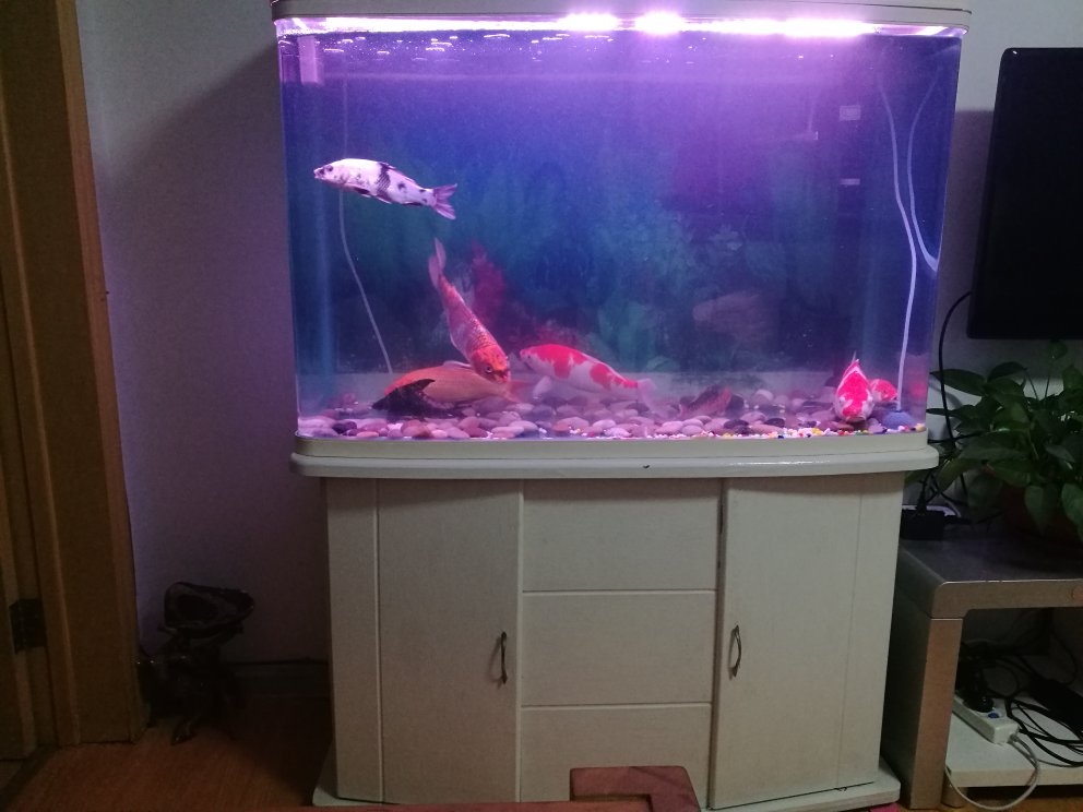 QfjDMvt.992.744.0.1000