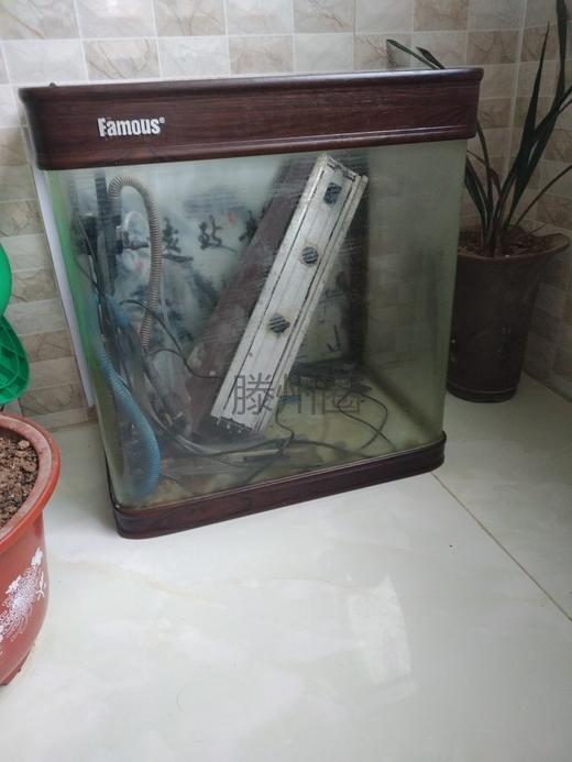 e_EhPrM1T.k60.7000.0.7007_767mjj1