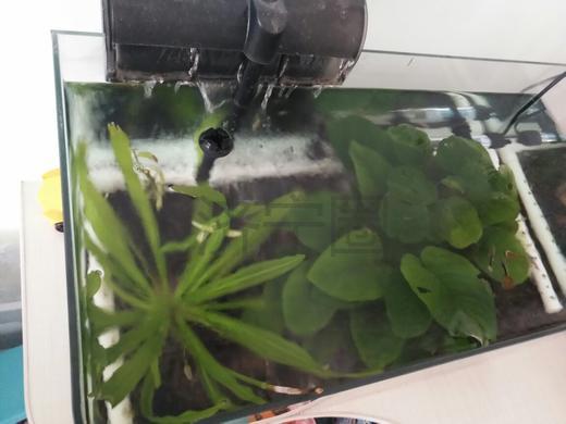 e_epAtNfN.7761.ljr.0.7000_76jrr02