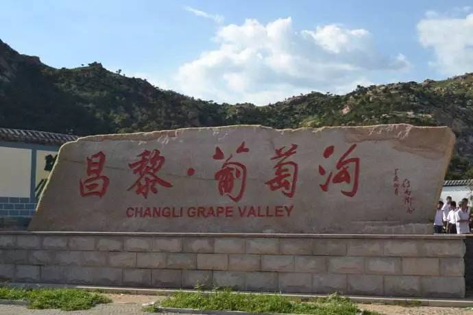 昌黎gdp_昌黎黄金海岸(3)