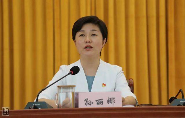 县委书记,县委巡察工作领导小组组长孙丽娜作动员部署讲话,就开展村街